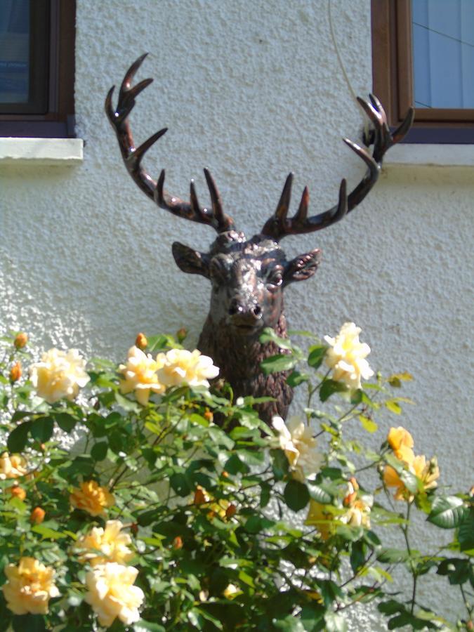 Craik Na Dav B&B Invermoriston Exteriér fotografie